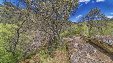Balıkçı Yolu, Cega Nehri Ravine Yolu, Cega Nehri Geçidi, La Velilla, Pajares de Pedraza, Pedraza, Segovia, Kastilya ve Leon, İspanya, Avrupa