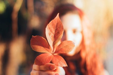 Sonbahar sezonunda kuru bir yaprağı tutan bir elin yakın çekimi. Doğa, çevre ve orman kavramı.