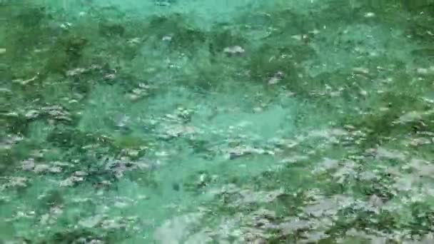 Вид Море Рябь Лазурной Зеленой Воды Видимыми Камнями Дне Летний — стоковое видео