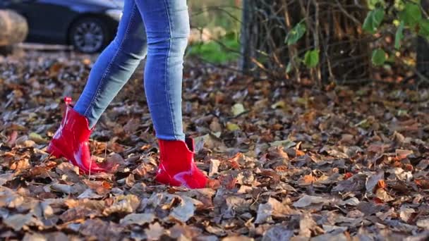 Ноги Молодої Дівчини Синіх Джинсах Червоні Гумові Чоботи Йдуть Уздовж — стокове відео