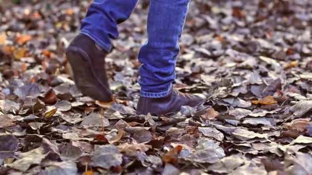 Mavi Kotlu Kahverengi Çizmeli Genç Bir Adamın Bacakları Sonbaharda Kameranın — Stok video