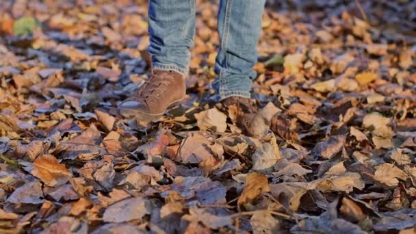 Legs Young Man Blue Jeans Brown Boots Walk Camera Autumn — Stock Video