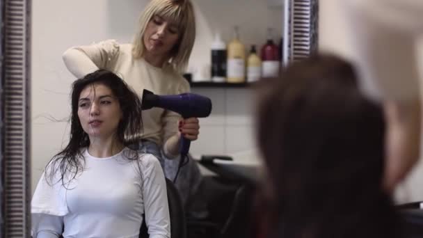 Güzel Beyaz Sarışın Kadın Kuaför Saç Kurutma Makinesiyle Uzun Kahverengi — Stok video