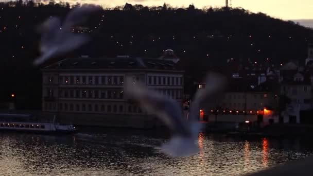 Beautiful Panoramic View Evening Vlatva River City Prague Burning Lanterns — Stock Video