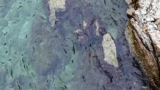 Gyönyörű Kilátás Nyílik Tenger Hullámai Tiszta Tiszta Víz Látható Kövek — Stock videók