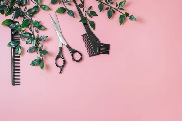 A set of tools from scissors, combs and a brush for dyeing hair with a green plant on the left on a pink background with copy space on the right, flat lay closeup. The concept of hairdressing, beauty salon.