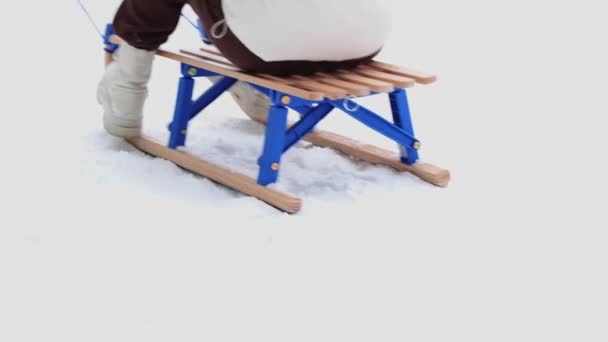 Young Caucasian Man Rides Sitting Girl Sled Winter Forest Nature — Vídeo de stock