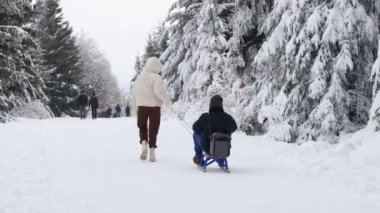 Arkadan gelen beyaz bir kız Belçika 'nın doğal koruma alanındaki karlı bir yolda kızak üzerinde oturan bir adama biniyor. Kış tatili konsepti, modern yaşam tarzı.