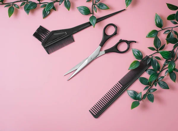 A set of tools from scissors, combs and a brush for dyeing hair with a green plant on a pink background with a small copy space, flat lay closeup. The concept of hairdressing, beauty salon.