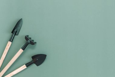 Three garden tools of two spatulas and one rake lie on the left on a green background with copy space on the right, flat lay close-up. Concept of gardening, sowing seeds.