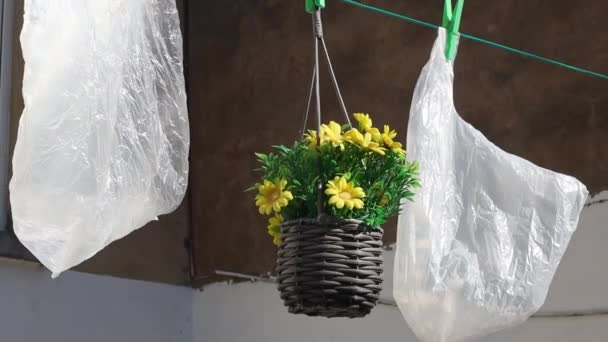 Dwie Plastikowe Torby Żółte Kwiaty Wiklinowym Garnku Wiszą Kołysząc Się — Wideo stockowe