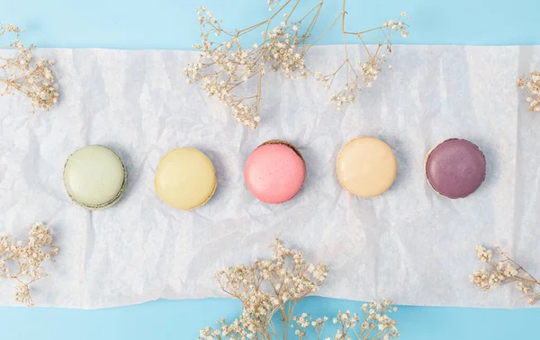 stock image Five macaroons lie in a row on a pale pink paper napkin with sprigs of dried flowers in the center on a pale blue background, flat lay close-up.Sweet desserts concept.