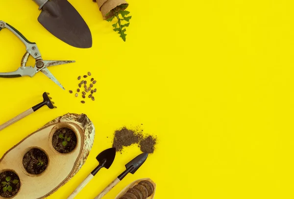 Three cardboard cups with soil and sprouts stand on a wooden saw cut with gardening tools and watermelon seeds lie on the left on a yellow background with copy space on the right, flat lay close-up. Concept gardening, sowing seeds.