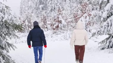 Arka planda yaşayan beyaz bir çift kış ormanlarından geçip Belçika 'nın doğal koruma alanına yakın bir yerde boş bir kızak çekiyorlar. Kış tatili konsepti, modern yaşam tarzı.