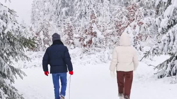 Arka Planda Yaşayan Beyaz Bir Çift Kış Ormanlarından Geçip Belçika — Stok video