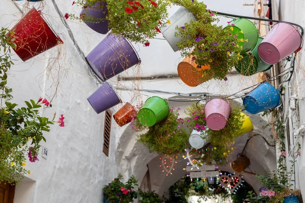 Beautiful view of decorative colorful pastel buckets with plants hanging on a wire in the city of Ostuni Italy, close-up side view. The concept of ancient architecture.
