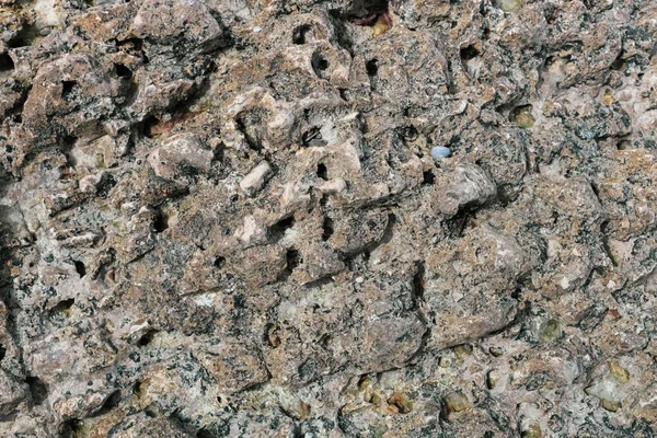 Beautiful Textural Background Natural Rock Perforated Texture Flat Lay Close — Stock fotografie