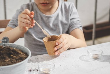 Little caucasian girl sitting at a table outdoors in the backyard of the house and planting seeds in a cardboard cup, collecting soil with a wooden spoon from a zinc bucket on a light cement background, close-up side view. The concept of gardening, s