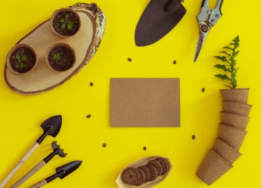 Bir bahçe aletleri seti, tahta testere kesiğindeki mukavva cam, yeşil lahanalar, karpuz tohumları ve bir el işi zarf sarı bir çerçevenin içinde, merkezinde fotokopi alanı olan yuvarlak bir çerçeve, yakın plan yatar. Bahçe işleri, tohum ekme kavramı.