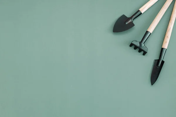 Three gardening tools of two spatulas and one rake lie to the right on a green background with copy space on the left, flat lay close-up. Concept of gardening, sowing seeds.