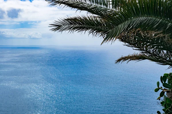 在意大利卡普里岛上 夏日阳光明媚的一天 美丽的蓝色泰瑞尼亚海 右边有棕榈树枝条 近照侧影 — 图库照片