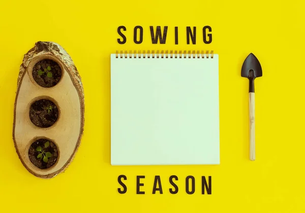 Three cardboard cups with soil and sprouts stand on a wooden saw cut empty white notebook, a garden shovel and an inscription of black wooden letters - sowing season, lie on a yellow background with copy space, flat lay close-up. Concept gardening, s
