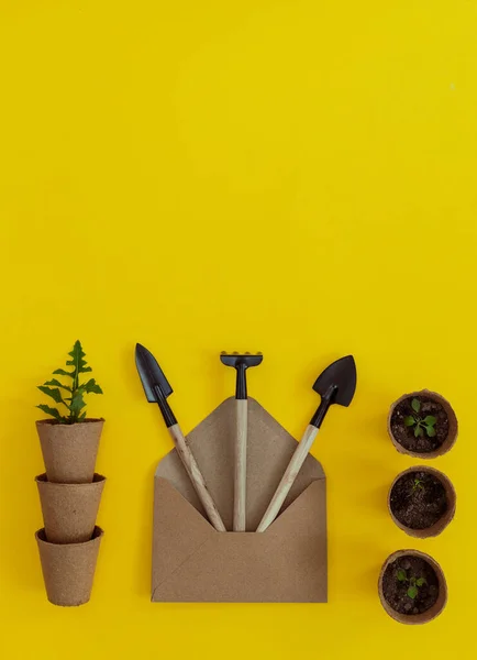 stock image Three garden tools spill out of a craft envelope, and next to it are cardboard cups with soil and sprouts lying on a yellow background with copy space, flat lay close-up. The concept of gardening, sowing seeds, creative gifts.