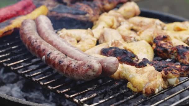 Délicieuses Appétissantes Saucisses Grillées Aux Ailes Poulet Sur Gril Dans — Video