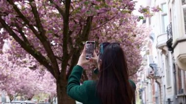 Yeşil ceketli, beyaz tenli genç bir kız, sakura 'nın çiçek açan dallarında bir video çekiyor ve şehirde gün boyunca rüzgarda sallanıyor..