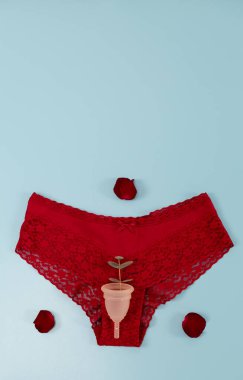 Silikon regl bardağı olan kırmızı dantelli bir kadın külotu ve fotokopi alanı olan mavi bir arka planda üç gül yaprağı var. Kadın sağlığı kavramı.