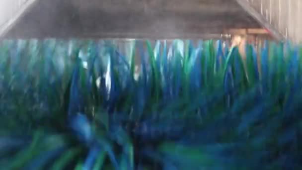 Una Spazzola Rotante Con Una Lunga Setola Blu Verde Avvicina — Video Stock