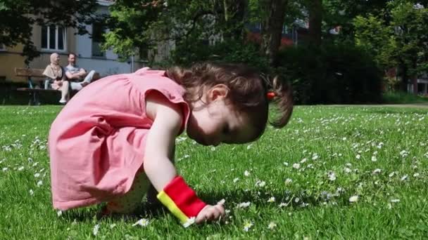 Kafkasyalı Güzel Bir Kız Bebek Kafasında Kuyruğuyla Yeşil Bir Çayırda — Stok video
