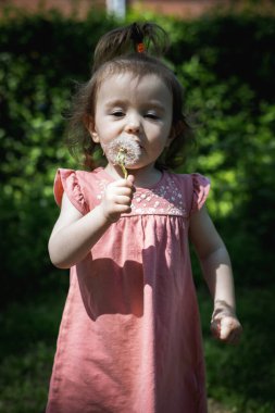 Ellerinde karahindiba olan ve sıcak bir bahar günü parkta, yakın çekim manzarası olan beyaz elbiseli güzel bir kızın portresi..