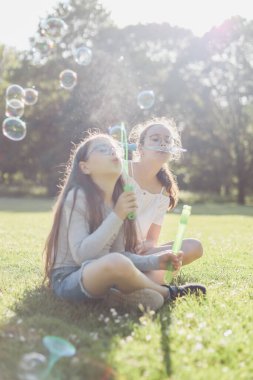 İki güzel beyaz kız kardeşin portresi, arka plandaki bir parkta çiçek çayırında bacakları çapraz oturarak baloncuk üflüyor, yan görünüş ise seçmeli odaklı. Park ve REC konsepti, mutlu çocukluk, çocuk pikniği, ho