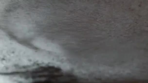 Köpüklü Sabunlu Suyu Halka Açık Bir Oto Yıkamada Arabanın Camında — Stok video