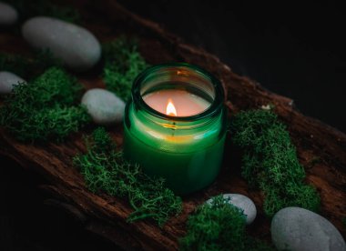 A white burning candle in a glass jar with green moss and gray stones in the bark of a tree lie on a black background, close-up side view. Esoteric concept, dark style.