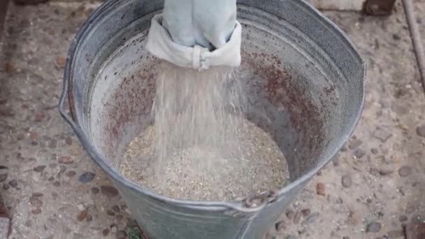 Crushed Animal Feed Poured Old Zinc Bucket Fabric Crusher Sleeve — Stock Video