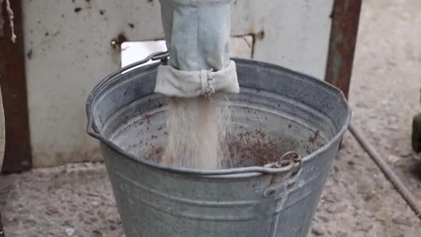 Ground Animal Feed Poured Old Zinc Bucket Fabric Sleeve Crusher — Stock Video
