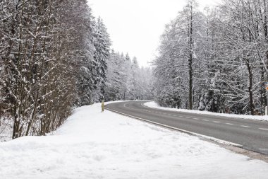 Güzel bir asfalt yolu manzarası var. Dönüşü ve Belçika 'da bir orman rezervinin kenarlarında karla kaplı ağaçlar var. Güzel kış arkaplanları, duvar kağıtları konsepti.