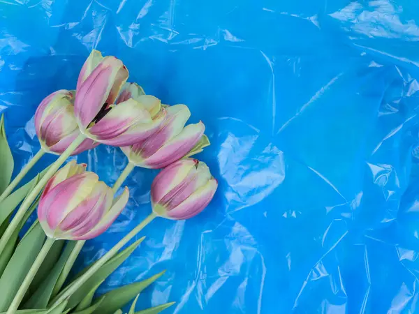 Five withered tulips lie on the left on a blue plastic trash bag with copy space for your text on the right, flat lay close-up. Concept ecology and plastic trash.