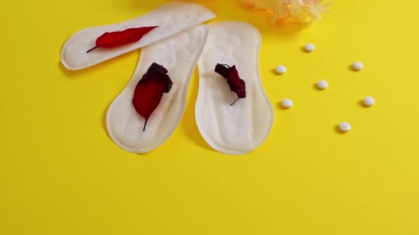Три Ежедневных Белых Женских Трусика Подкладки Тремя Красными Листьями Сушки — стоковое видео
