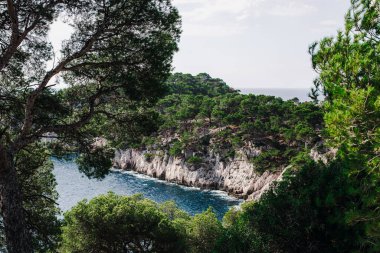 Akdeniz 'de bitki örtüsü olan kayalık dağlar arasında Fransa' nın Calanques şehrinde bir yaz günü, tarlanın derinliği ile yakın tepe manzaralı güzel bir koy manzarası..