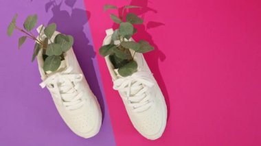 İçinde okaliptüs dalları olan modern moda beyaz spor ayakkabılar koyu gölgeli leylak pembesi bir arka planda, zoom yaparak düz bir şekilde uzanıyorlar. Moda ayakkabı konsepti.