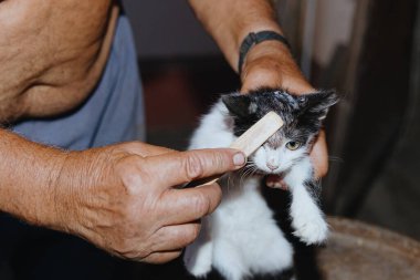 Tanınmayan yaşlı bir adam, gecenin bir yarısı evin arka bahçesinde, yakın çekim manzaralı ahşap bir eko çubukla evsiz bir kedinin kafasına tıbbi merhem sürüyor. Konsept