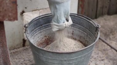 Evcil hayvanlar ve çiftlik hayvanları için zemin karışımı bir yaz günü bir evin arka bahçesindeki eski bir çinko kovaya dökülüyor, yakın plan çekimde. Hazırlanmak için zaman kavramı