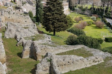 İtalya 'da bulutlu ve bulutlu bir yaz gününde, antik Pompeii şehrinde bitki ve çimenlerle kaplı yerleşim yerlerinin kalıntılarının güzel manzarası..