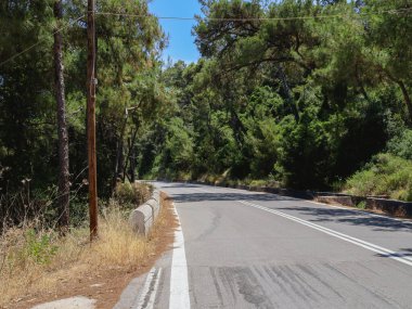 Beautiful panoramic view of a straight asphalt road in a coniferous forest leading down with a smooth left turn on Mount Filerimos in Greece on a sunny summer day, close-up side view. clipart