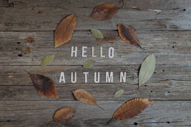 Ahşap harflerden güzel bir manzara merhaba sonbahar yaprakları etrafında yuvarlak bir çerçeve içinde yatıyor eski ahşap bir kırsal masa, düz yakın yatıyordu. Sonbahar kavramı merhaba, zaman...