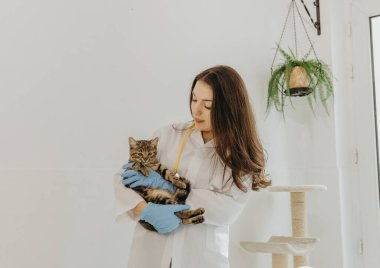 Beyaz önlüklü, mavi eldivenli ve boynunda sarı steteskop olan beyaz bir kız veteriner elinde üç renkli bir kedi yavrusu tutuyor ve gülümseyerek ona bakıyor.