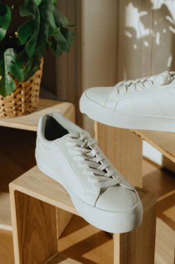 Güneşli bir günde, bir ev mağazasının kapısında, üzerinde canavar çiçeği olan, modaya uygun ahşap kutuların üzerinde duran güzel, beyaz, klasik bir spor ayakkabı, tarlanın derinliği ile çok yakından görülüyor.